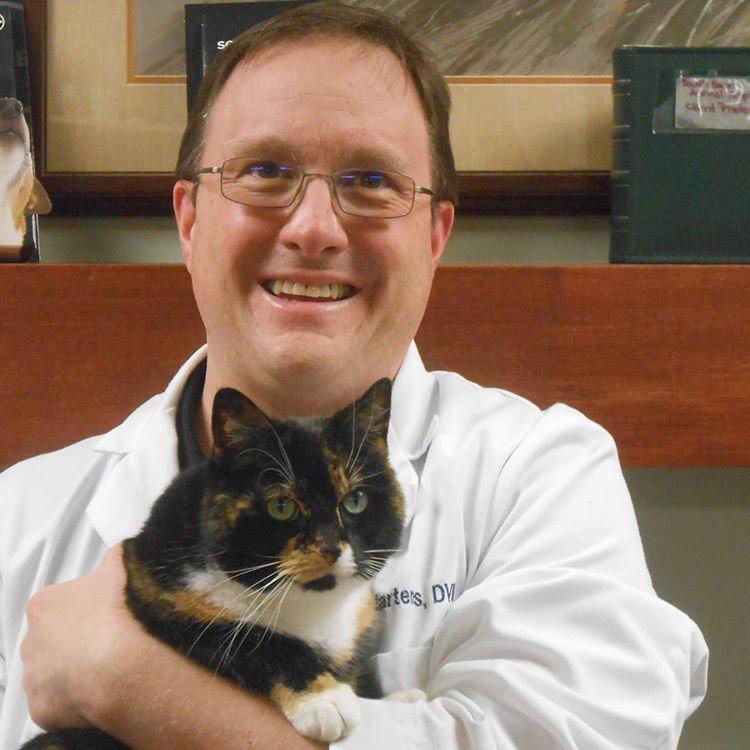 Best veterinarian's office